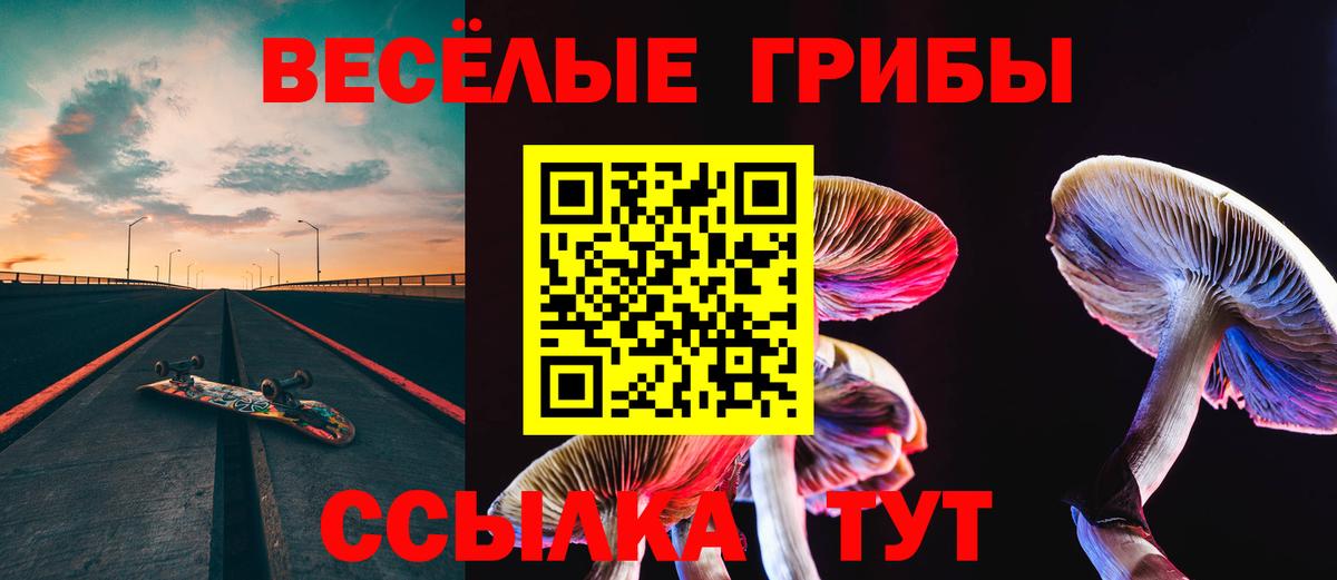 Псилоцибиновые грибы мухоморы  Вход с VPN  Кузнецк 